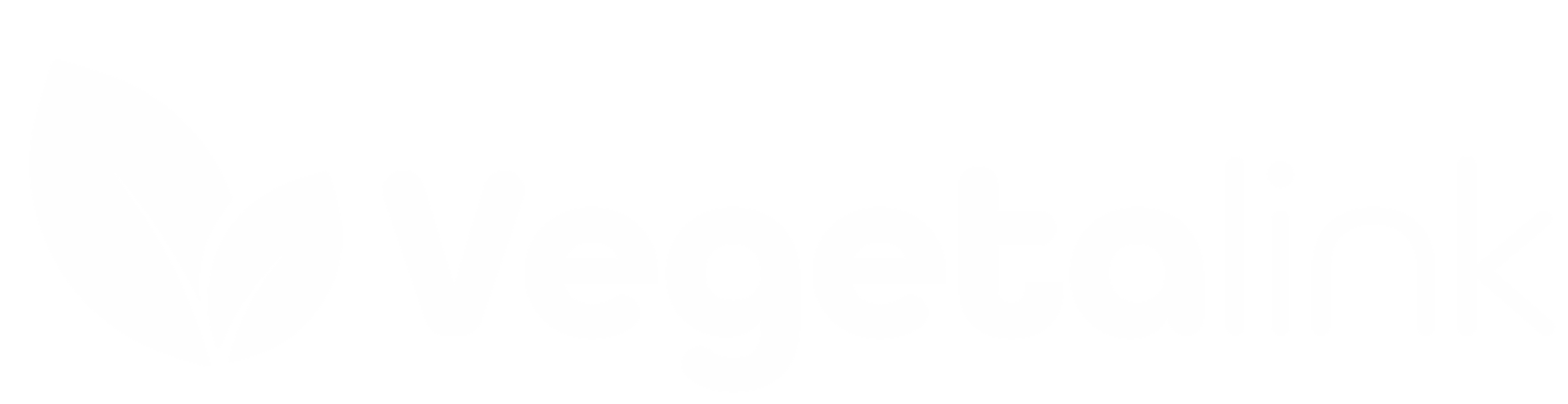 Vegetalink logo